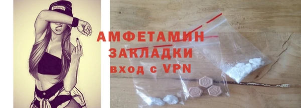 индика Алзамай