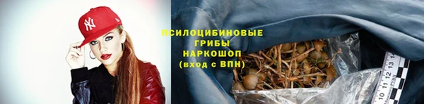 твердый Абинск