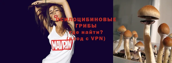 трава Абаза