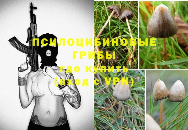 дмт Алексин