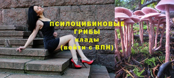 индика Алзамай